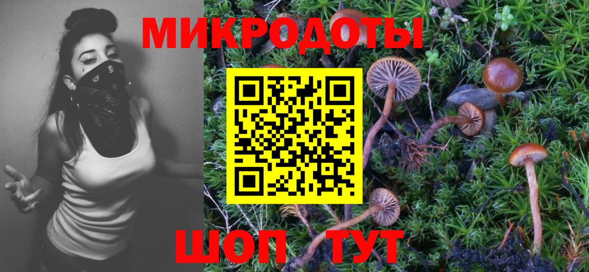 Галлюциногенные грибы GOLDEN TEACHER Гай