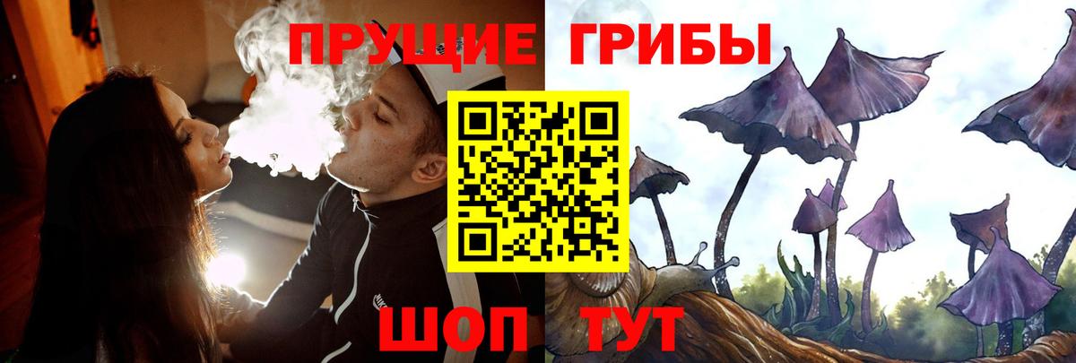 Галлюциногенные грибы Psilocybine cubensis  Вход с VPN  Гай 