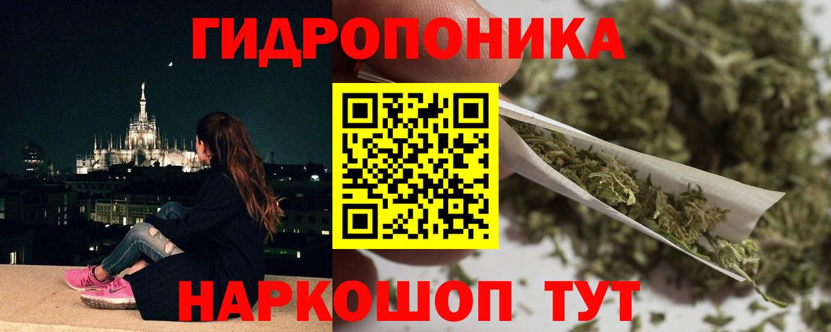 Марихуана SATIVA & INDICA Гай